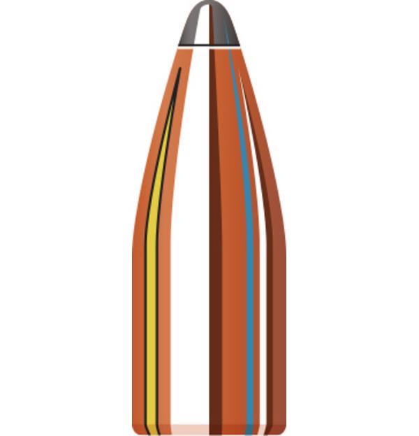 ISS2230 #1. P 22 Cal (.224) 45Gr Hornady Hornet 100's