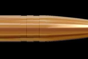 RAPNPL7105 #1. P 30 Cal (.308) 170Gr Lapua Naturalis 50's