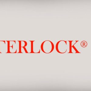 ISS2453 #1. P 6mm (.243) 100Gr Hornady Interlock BTSP 100's