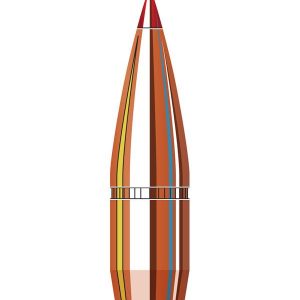 ISS33102 #1. P 338 Cal (.338) 200Gr Hornady SST 100's