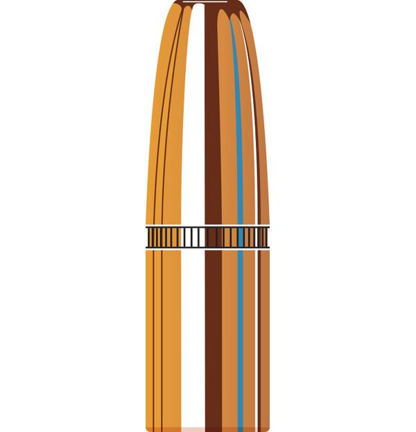 ISS3727 #1. P 375 300Gr Hornady DGS 50's