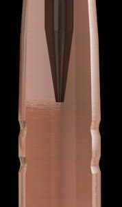 ISS224034 #1. P 22 Cal (.224) 50Gr Hornady ECX (50)