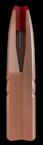 ISS224034 #1. P 22 Cal (.224) 50Gr Hornady ECX (50)