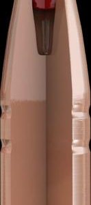 ISS37084 #1. P 375 Cal (.375) 250Gr Hornady CX 50's