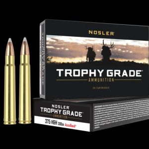 ISS60070 #1. Ammo 375 H&H 300Gr Nosler TG Accubnd(20)