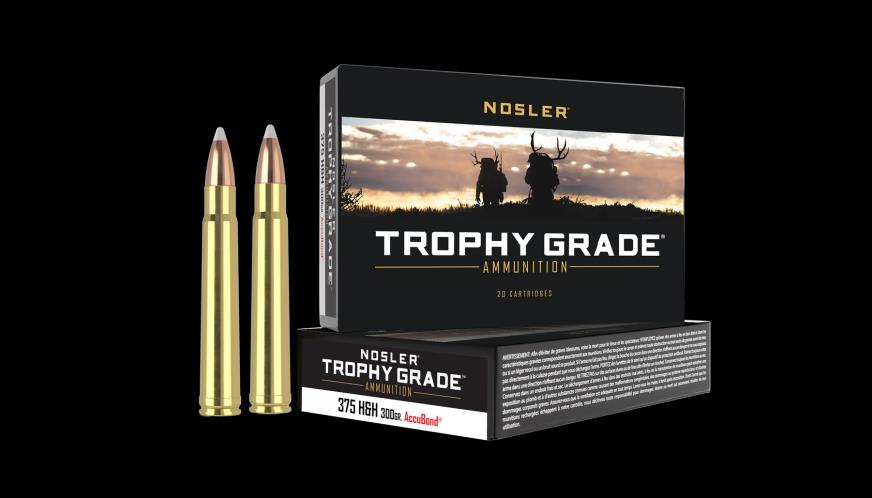 ISS60070 #1. Ammo 375 H&H 300Gr Nosler TG Accubnd(20)