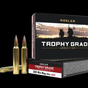 ISS60126 #1. Ammo 300 WM 190Gr NoslerTG AcB LR20