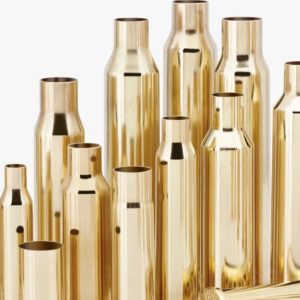 ISS8604 #2. B 204 Ruger Hornady Unprimed (50)