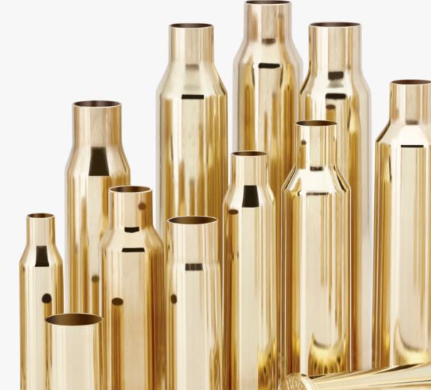 ISS8604 #2. B 204 Ruger Hornady Unprimed (50)