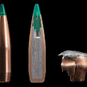 NORC633107ASA10 #1. Ammo 300 WM 165GR Sako Gamehead Pro Sierra Gamechanger 10's