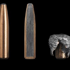 NORC661122HSA10 #1. Ammo 260 REM 156GR Sako Deerhead Bonded Oryx 20's