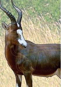 ISSGARBLES #2. Target Garipani Blesbok