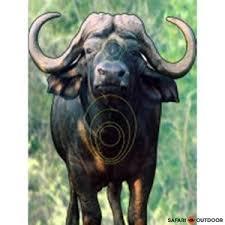 ISSGARBUF #1. Target Garipani Buffel