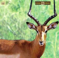 ISSGARCROO #1. Target Garipani CHASA Rooibok