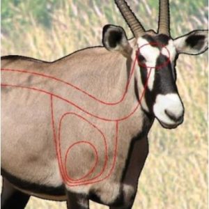 ISSGARGEM #1. Target Garipani Gemsbok