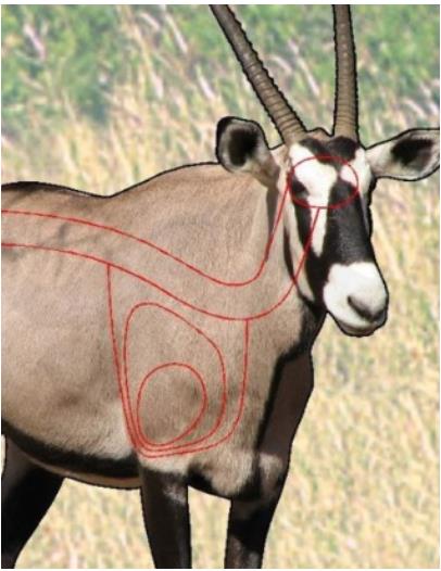 ISSGARGEM #1. Target Garipani Gemsbok