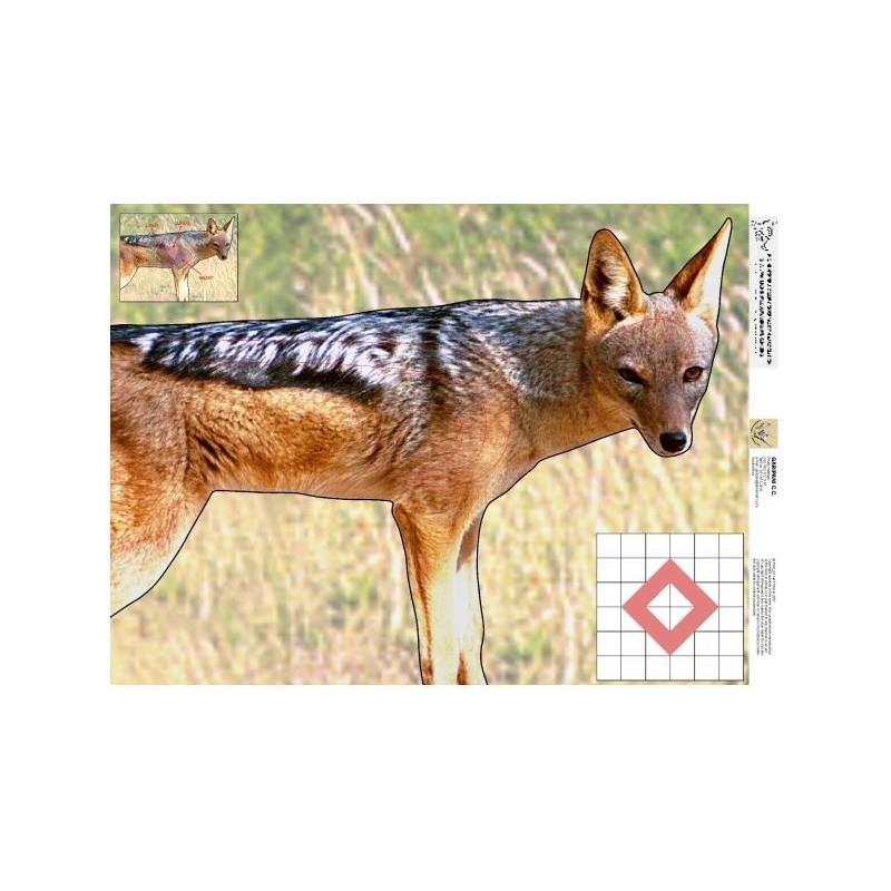 ISSGARJAK #1. Target Garipani Jackal / Jakkals