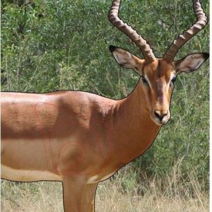 ISSGARROO #1. Target Garipani Rooibok