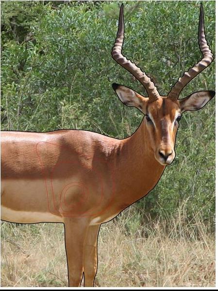 ISSGARROO #1. Target Garipani Rooibok