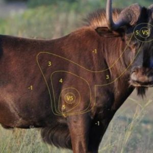 ISSGARSWA #1. Target Garipani Swartwildebees