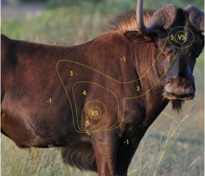 ISSGARSWA #1. Target Garipani Swartwildebees