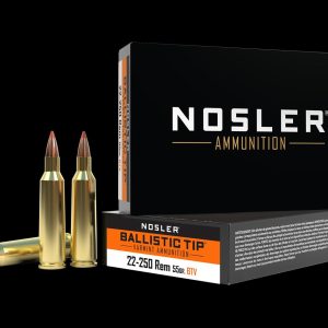 ISS61034 #1. Ammo 22-250 Rem 55Gr Nosler BT SP 20's
