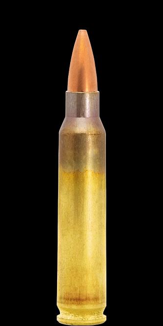 FOR4315015 #1. Ammo 223 Rem 69Gr Scenar-L OTM 50's