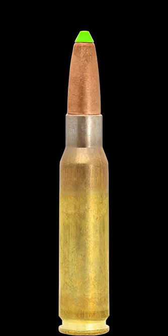 NORN317105 #1. Ammo 308 Win 170Gr Lapua Naturalis 20's