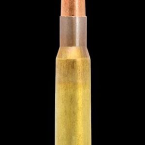 NORN317106 #1. Ammo 30-06 SPR 170Gr Lapua Naturalis 20's