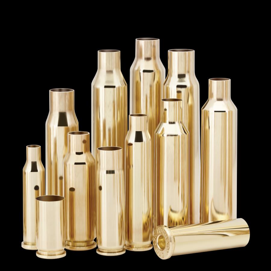 ISS8697 #1. B 458 Lott Hornady Unprimed (50)