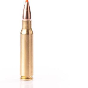 SGAFI308180EPNP #1. Ammo 308 Win 180Gr Fiocchi EPN 20's