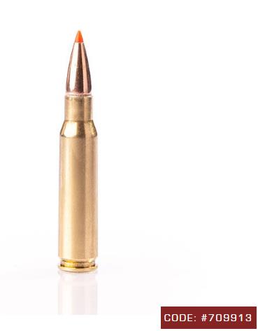 SGAFI308180EPNP #1. Ammo 308 Win 180Gr Fiocchi EPN 20's