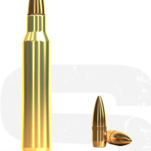 GBAD223SB55FMJ100 #1. Ammo 223 Rem 55Gr S&B FMJ 100's