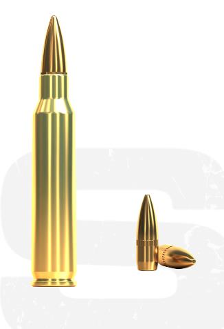 GBAD223SB55FMJ100 #1. Ammo 223 Rem 55Gr S&B FMJ 100's