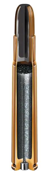 ISS82631 #1. Ammo 470 NE 500Gr Hornady DGX-B 20's