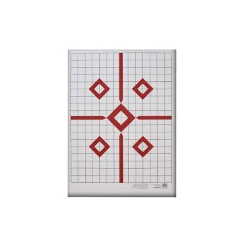 ISSGAR22 #1. Target Garipani .22cal