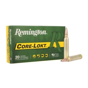 FOR-RE060 #1. Ammo 300 WM 180Gr Remington Core-Lokt PSP 20's