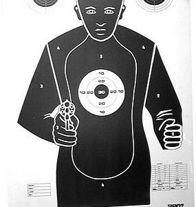 RAR9030 #2. Large Combat Targets -Ram-