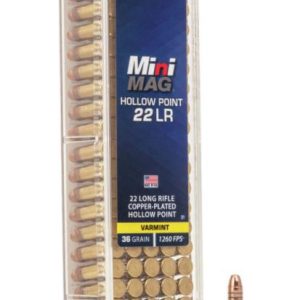 FORAR24 #1. Ammo 22 Mini-Mag 36Gr CCI HP 100's