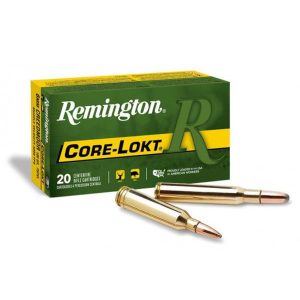 FORRE039 #1. Ammo 308 Win 180Gr Remington Core-Lokt 20's