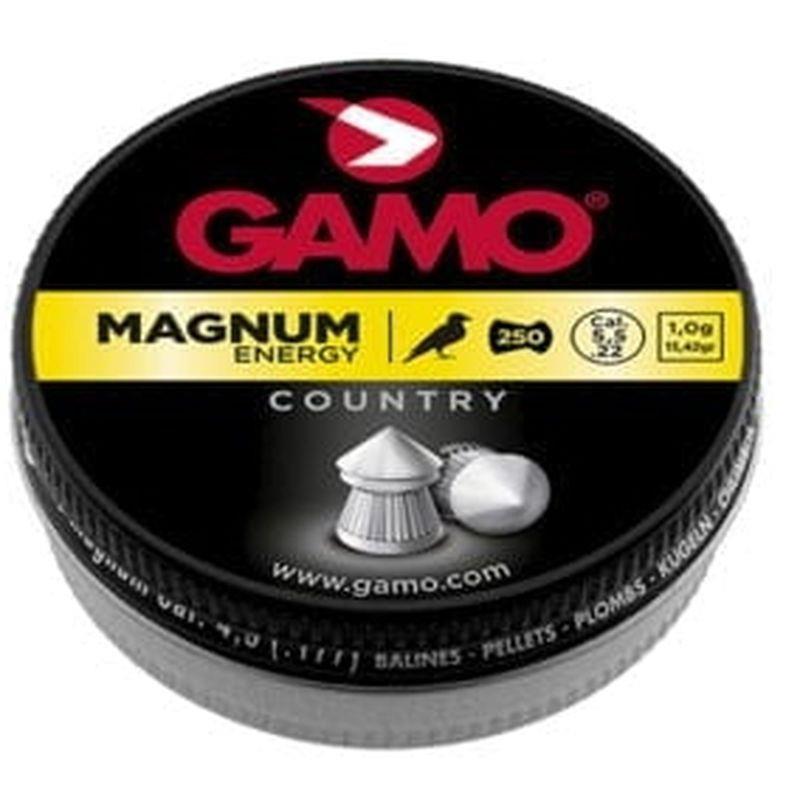 FORAW19 #1. Gamo 5.5mm Magnum Pellets 250's