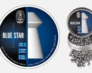 FORAW33 #1. BSA 4.5mm Blue Star Pellet 450's SKU: 740